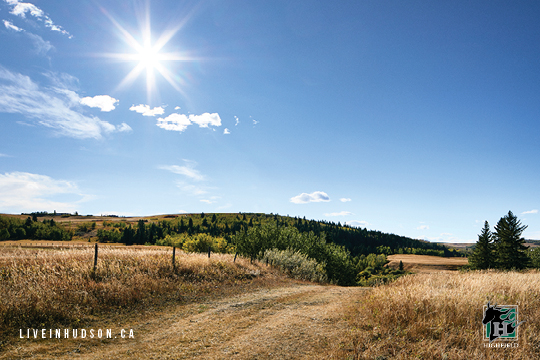Highfield Land Management | 11410 27 St SE Suite #19, Calgary, AB T2Z 3R6, Canada | Phone: (403) 723-2106