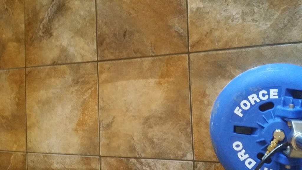 Ultimate Carpet Cleaning Saskatoon | 819 60 St E #2, Saskatoon, SK S7K 5Z7, Canada | Phone: (306) 262-2464