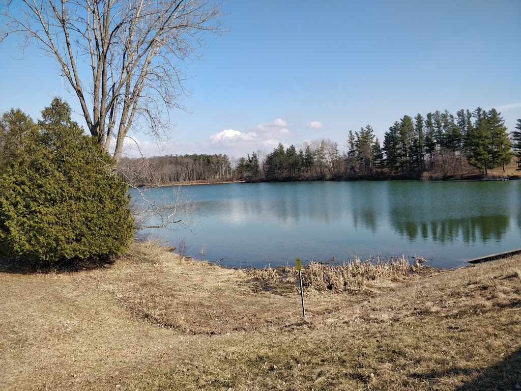 Morrison Dam Conservation Area | RR 3, 71108 Morrison Line, Exeter, ON N0M 1S5, Canada | Phone: (519) 235-2610