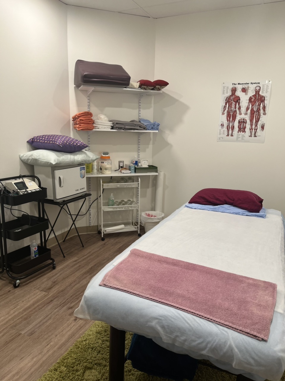Alive Acupuncture & Massage | 18 Britannica Rd, Winnipeg, MB R2N 1J4, Canada | Phone: (204) 880-5580