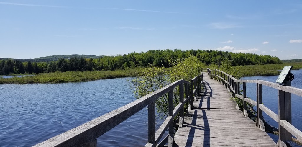 Marais de Ste-Catherine-de-Hatley | Sainte-Catherine-de-Hatley, QC J0B, Canada