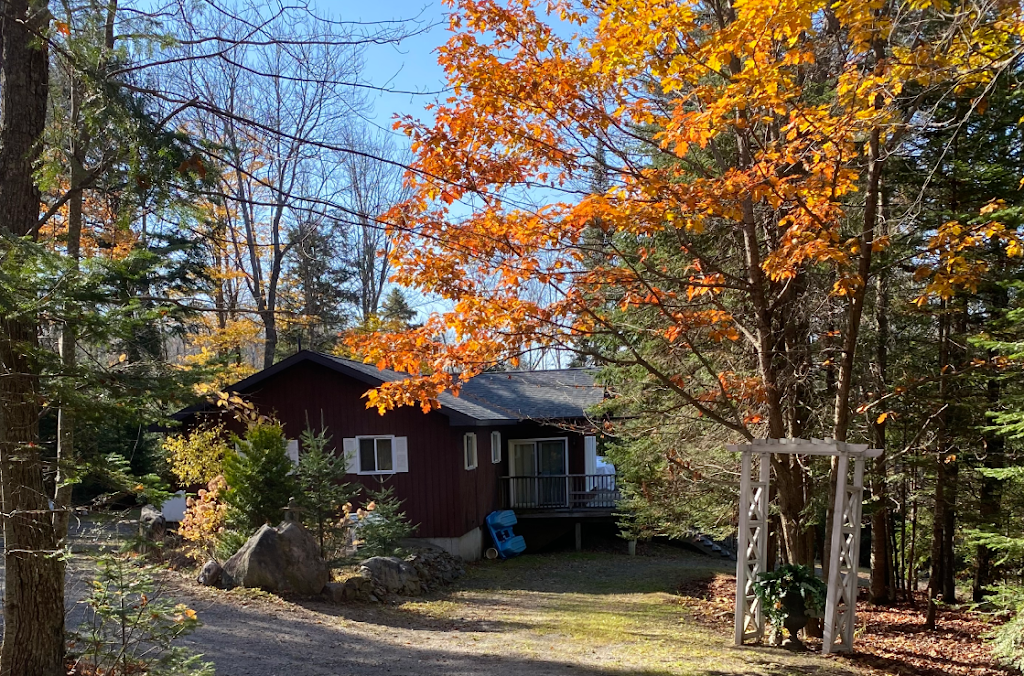 Greenscapes Haliburton | 2134 Wigamog Rd, Haliburton, ON K0M 1S0, Canada | Phone: (705) 455-7725