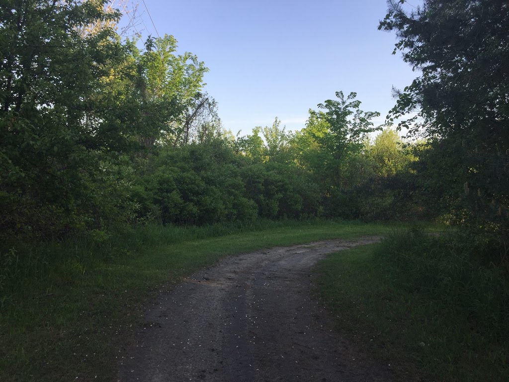 Moose Lake Campground | 134 S Range Rd, Marysville, MI 48040, USA | Phone: (810) 650-5292