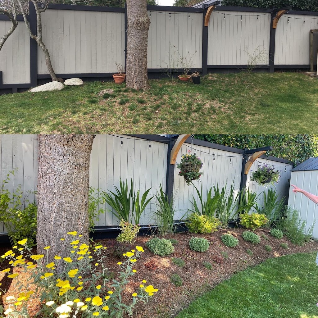Yorkshire Rose Gardens | 6387 Piper Pl, Sechelt, BC V7Z 0L1, Canada | Phone: (604) 440-3141