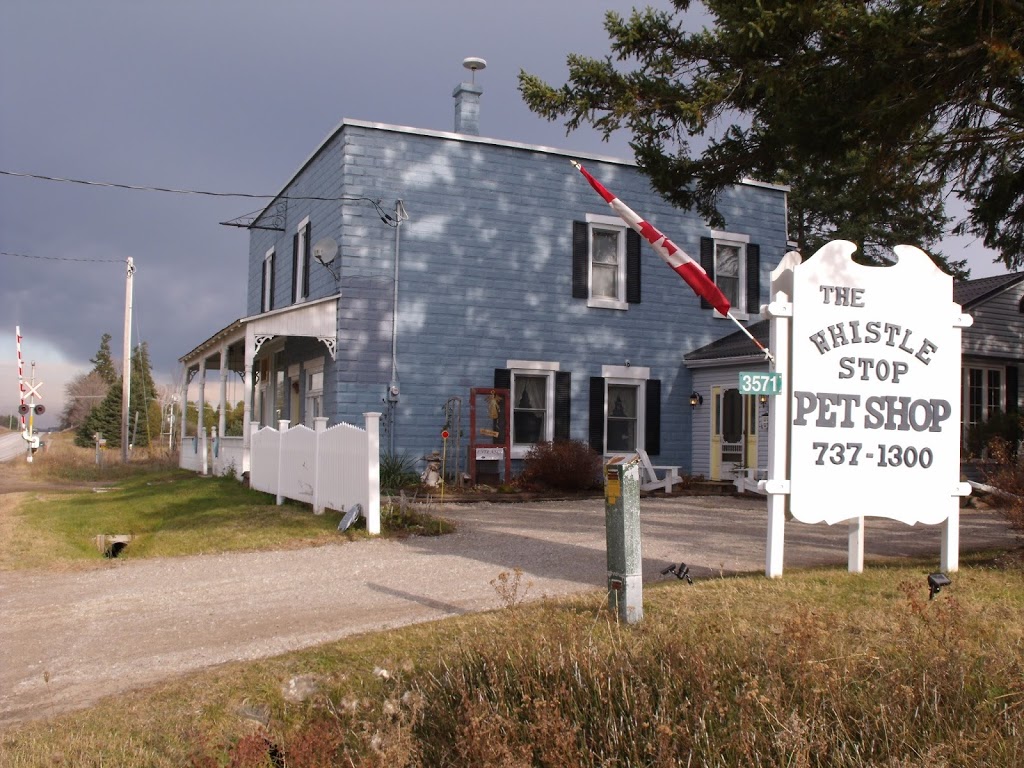 The Whistle Stop Pet Shop | 3571 Penetanguishene Rd, Barrie, ON L4M 4Y8, Canada | Phone: (705) 737-1300