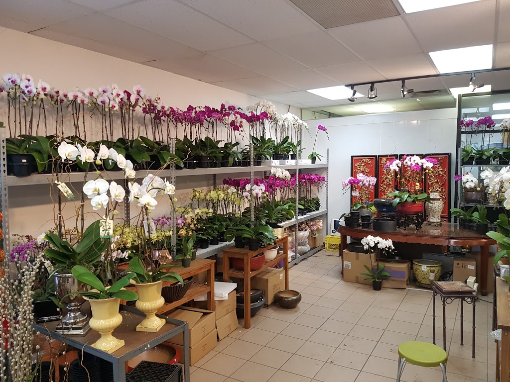 Southland Farm Market | 3008 W 41st Ave, Vancouver, BC V6N 3C9, Canada | Phone: (604) 264-0112