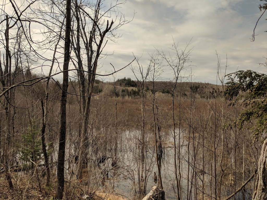 Plage Pélissier, Lac McGregor, ValdesMonts, Qc ValdesMonts, QC