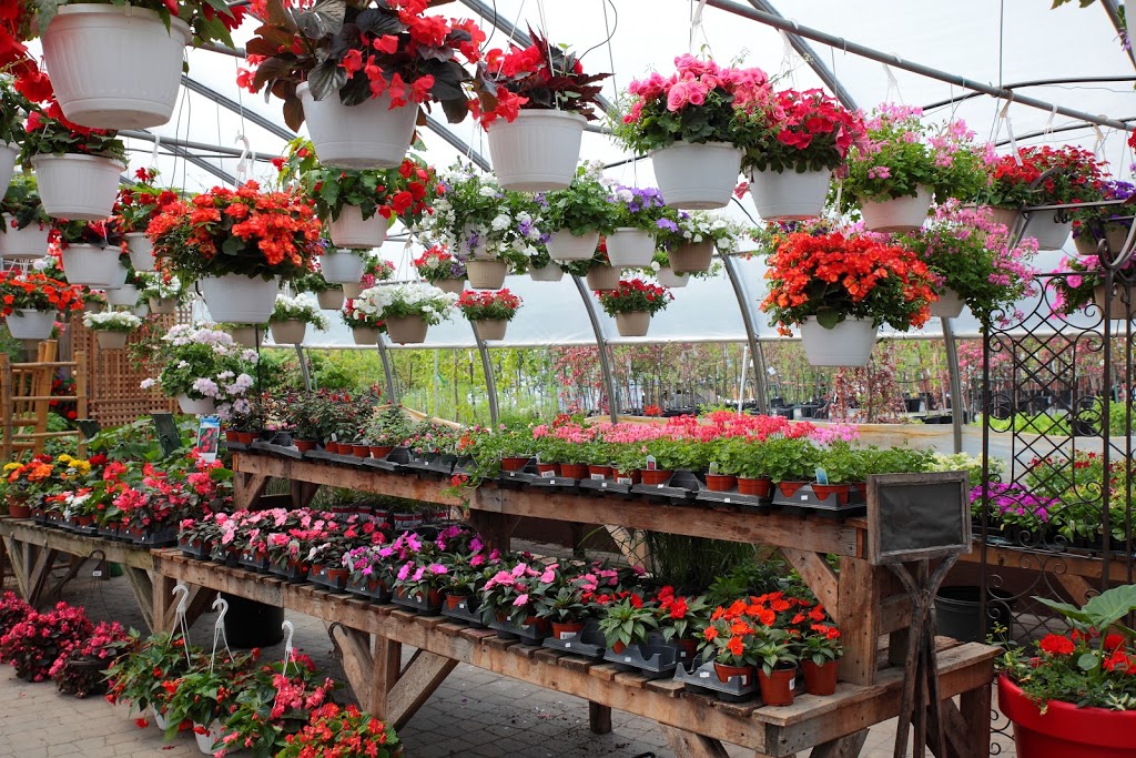 Jardin Eden | 5316 Boul Bourque, Sherbrooke, QC J1N 1H3, Canada | Phone: (819) 864-6831