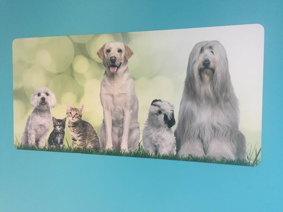 Kitchener Central Veterinary Hospital | 720 Westmount Rd E #6, Kitchener, ON N2E 2M6, Canada | Phone: (519) 570-0092