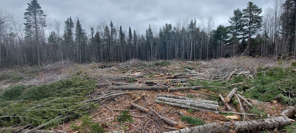 MacDonald Firewood & Tree Services | 906 NB-525, Sainte-Marie-de-Kent, NB E4S 2H5, Canada | Phone: (506) 233-9798