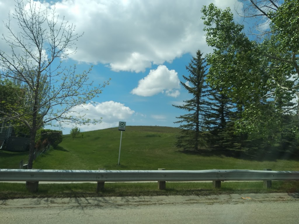 Edgemont Area 4 Off Leash Dog Park | 123 Edgehill Pl NW, Calgary, AB T3A 2S4, Canada