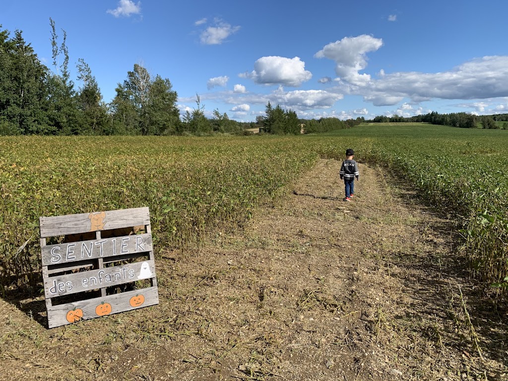 Ferme de Citrouilles Roberge et Gosselin | 1736 Chem. Royal, Saint-Pierre, QC G0A 4E0, Canada | Phone: (418) 952-2744