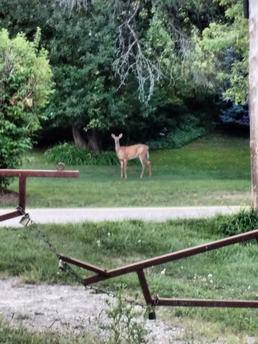 Edelweiss Park | 320 Glasgow Rd, Caledon, ON L7C 3L9, Canada | Phone: (905) 584-2272