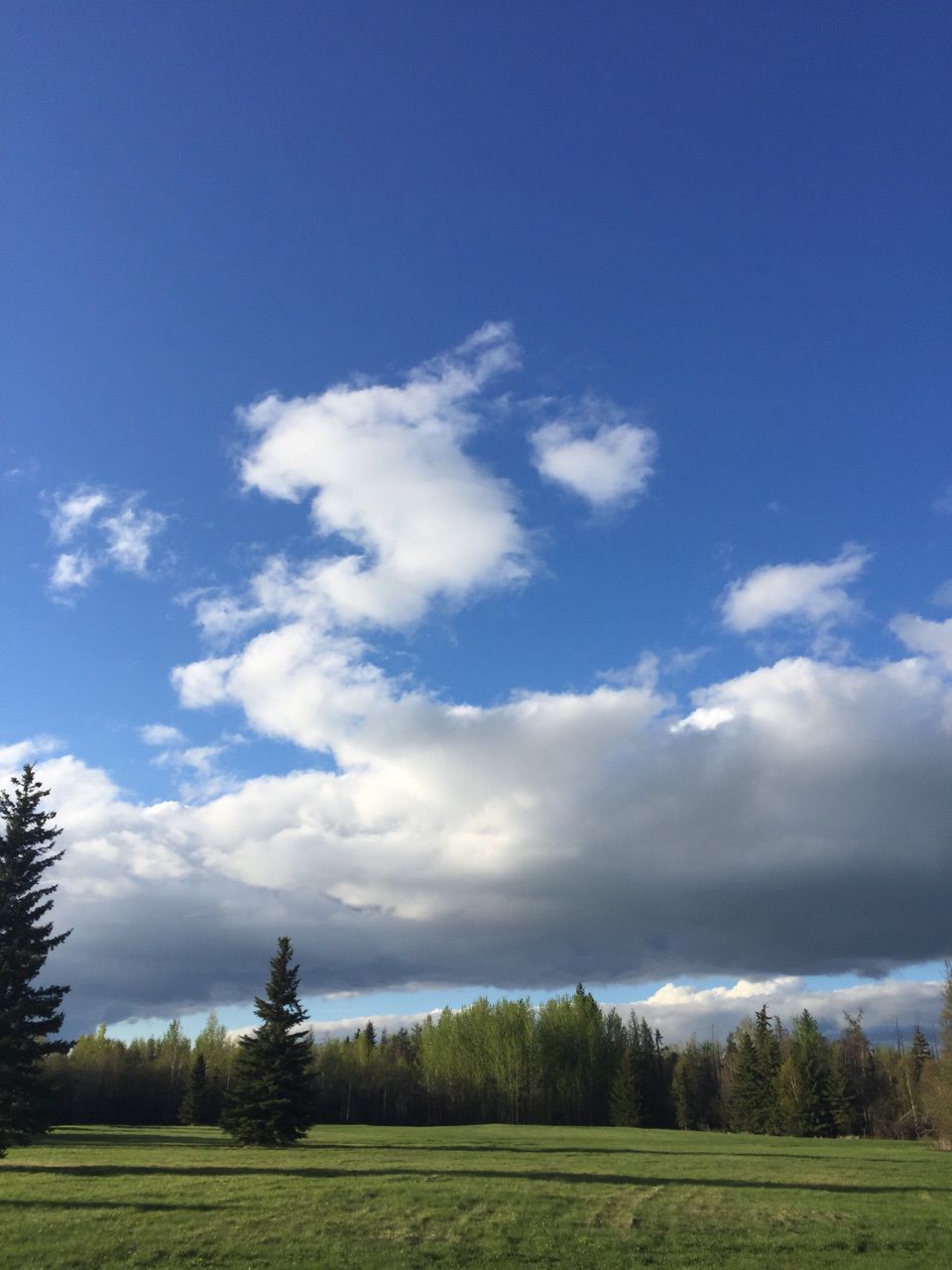 Whitewood RV Park | 53506 Range Rd 43, Lac Ste. Anne County, AB T0E 0J0, Canada | Phone: (780) 660-4653