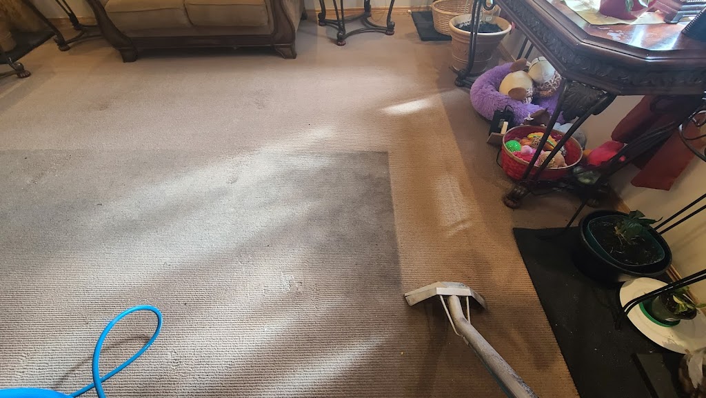 Odour Solution - carpet & upholstery cleaning | 100 Quarry Dr SE, Calgary, AB T2C 5G5, Canada | Phone: (403) 992-8936