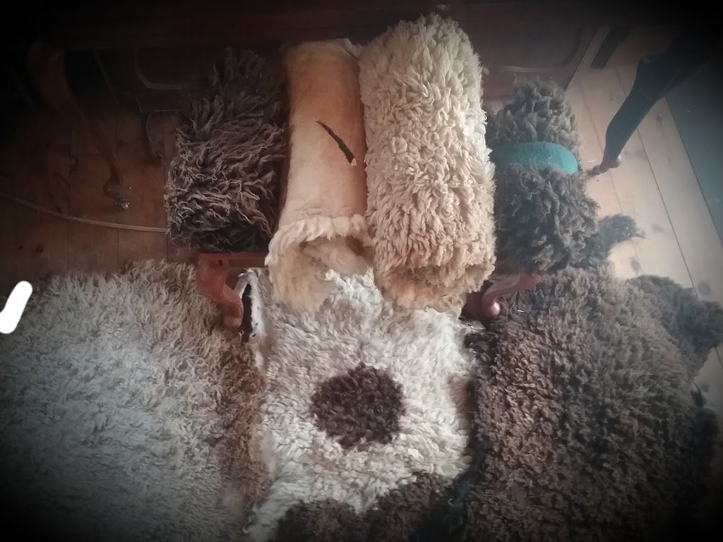 The Natural Tannery | 580 Brooke Valley Rd, Perth, ON K7H 3C6, Canada | Phone: (613) 200-6232
