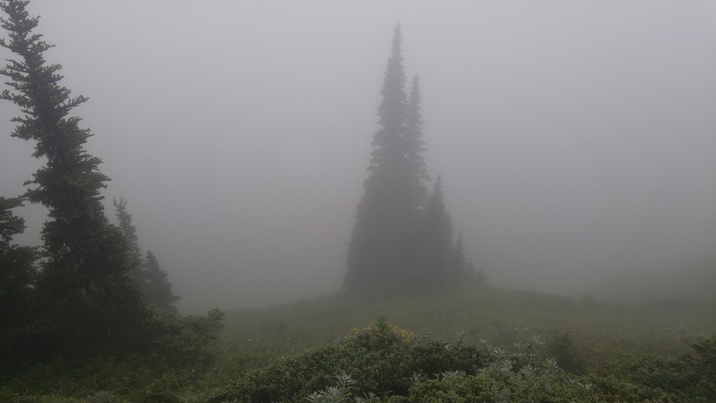 Liumchen Ecological Reserve | Rosedale, BC V0X 1X0, Canada | Phone: (800) 689-9025