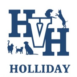 Holliday Veterinary Hospital | 77 Cedar St, Cambridge, ON N1S 1V6, Canada | Phone: (519) 621-0251