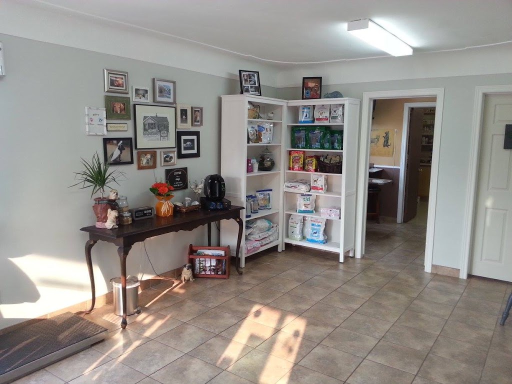 Glanbrook Veterinary Services | 2273 Upper James St, Mount Hope, ON L0R 1W0, Canada | Phone: (905) 679-6739