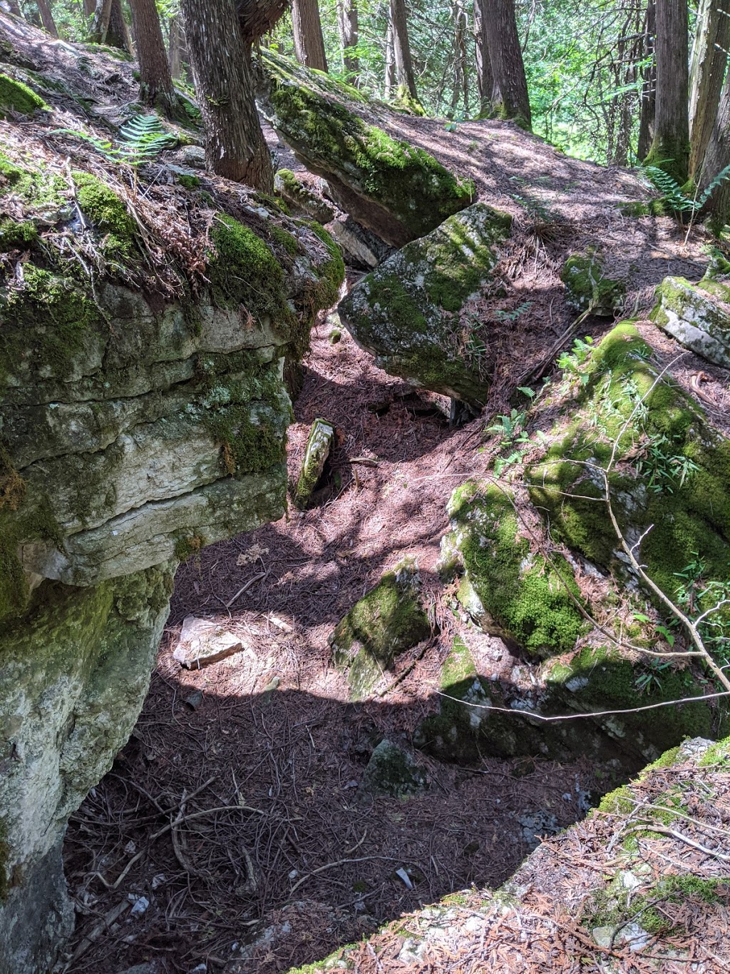 Warsaw Caves Conservation Area and Campground | 289 Caves Rd, Warsaw, ON K0L 3A0, Canada | Phone: (705) 652-3161