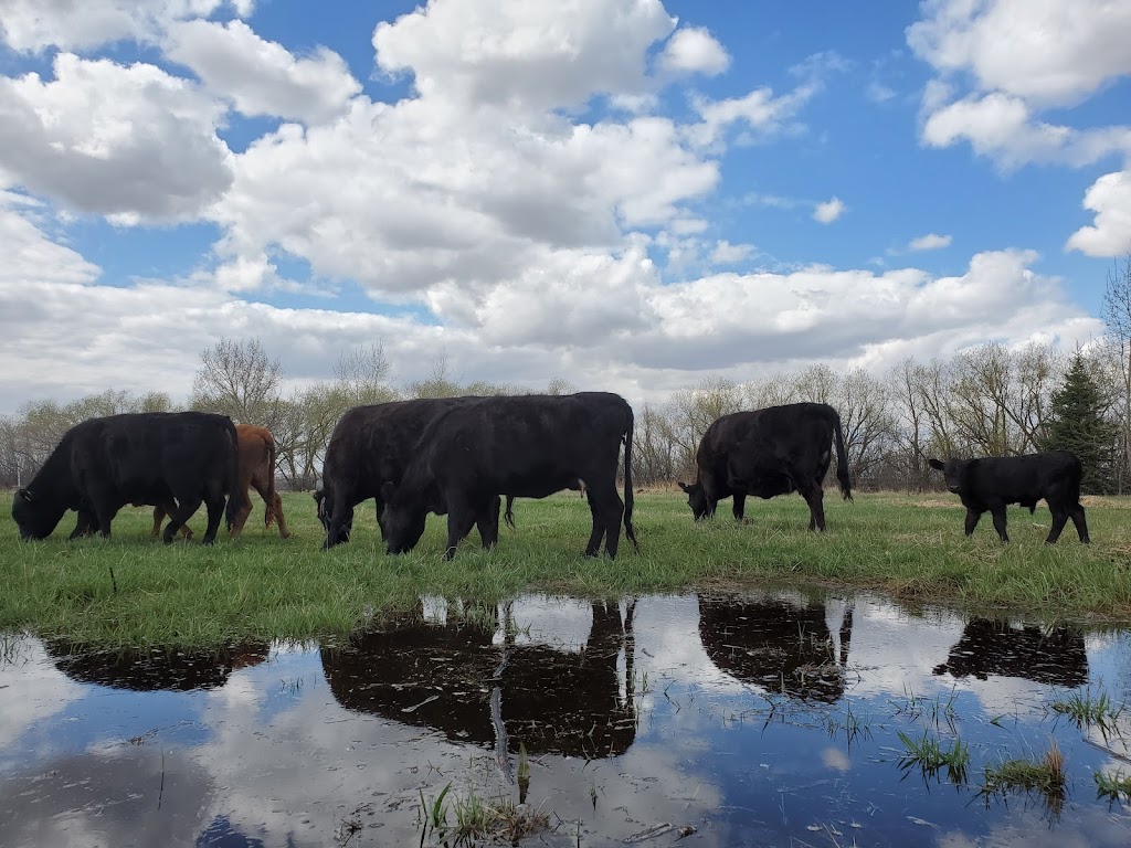 PrairieTree Manor | Township Rd 590, AB T0G 1W0, Canada | Phone: (587) 987-8870