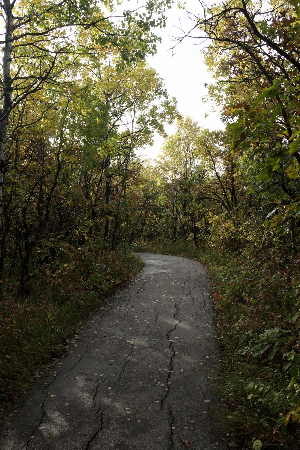 Assiniboine Forest | 55 Pavilion Crescent, Winnipeg, MB R3P 2N6, Canada | Phone: (204) 927-6000
