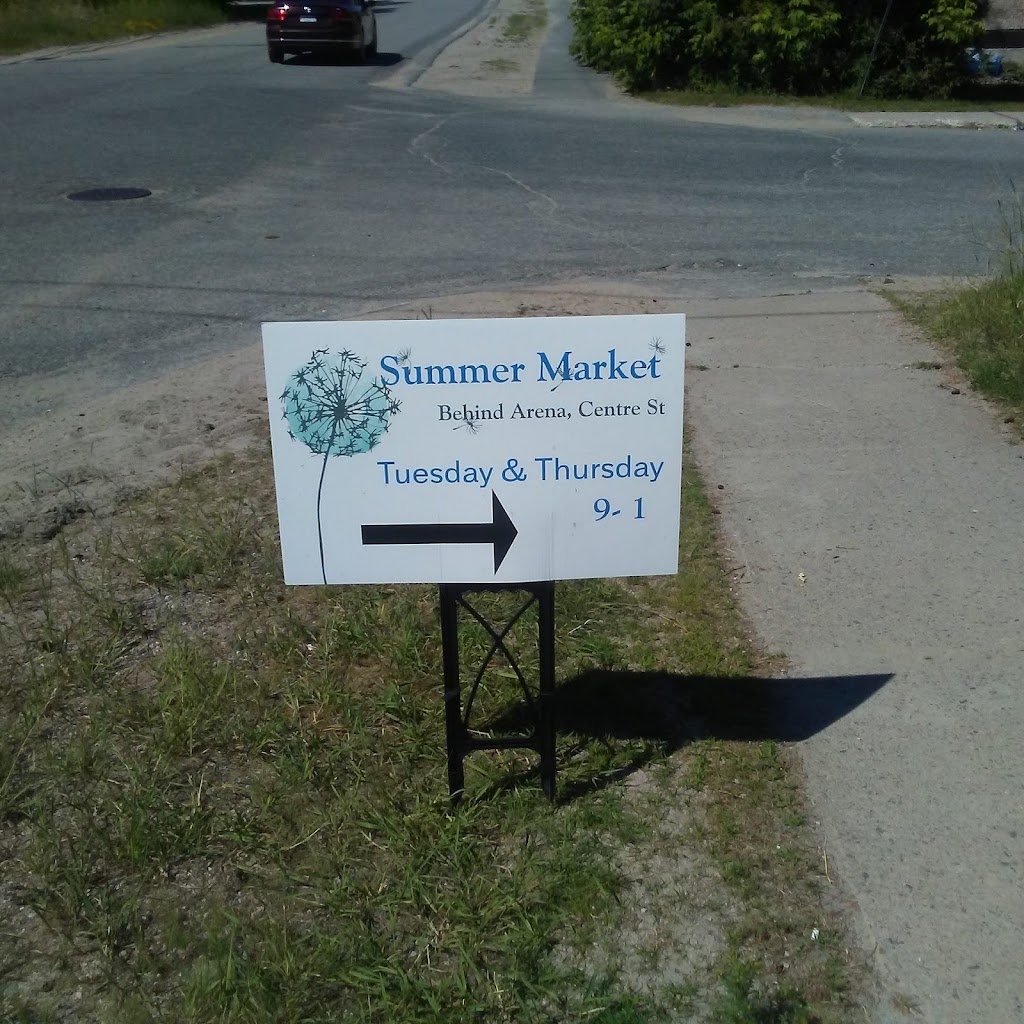 Armour Ryerson & Burks Falls Memorial Arena | 220 Centre St, Burks Falls, ON P0A 1C0, Canada | Phone: (705) 382-3811