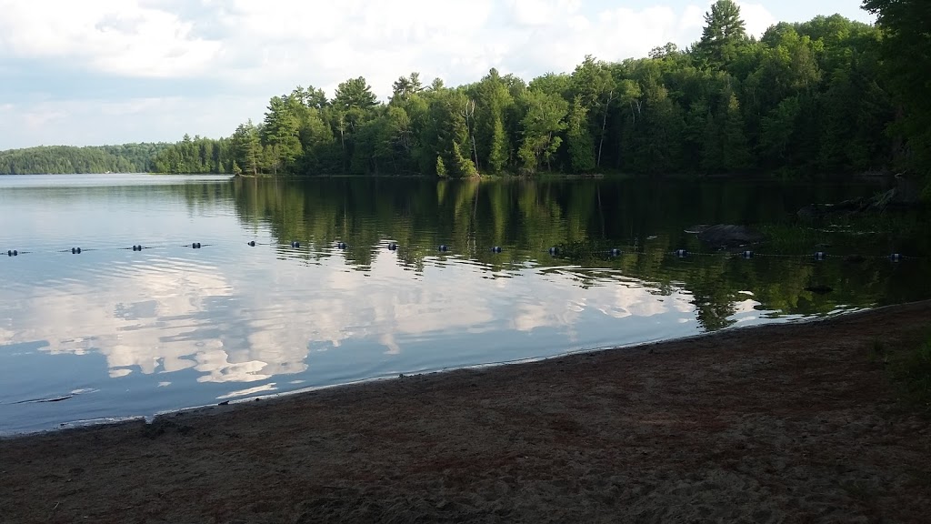 The Cabin | 2011 Ashburnham Dr, Peterborough, ON K9L 1P8, Canada | Phone: (705) 243-9106