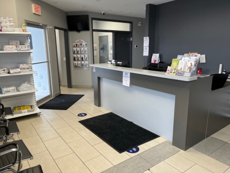 North Park Animal Hospital | 490 Chrysler Dr Unit 52, Brampton, ON L6S 0C1, Canada | Phone: (905) 799-9888