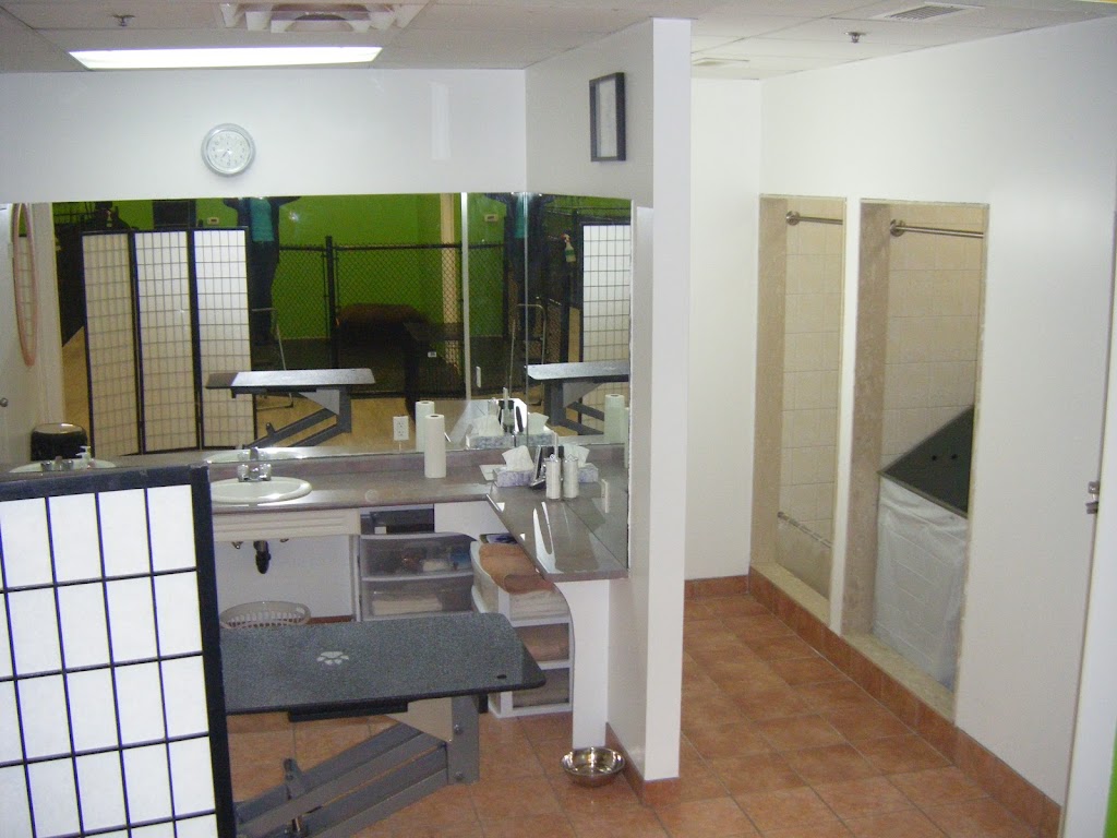 Canine Comforts | 12612 Hwy 50 #11a, Bolton, ON L7E 1T6, Canada | Phone: (905) 857-2733