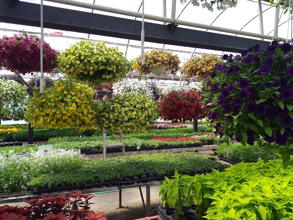 Little Village Garden Centre | Adams Rd, Trenton, ON K8V 5P4, Canada | Phone: (613) 392-4504