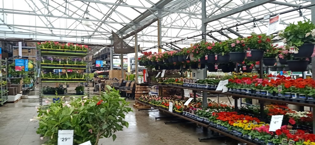 Lowes Home Improvement | 1390 Quinn Dr, Sarnia, ON N7S 6M8, Canada | Phone: (519) 541-2120