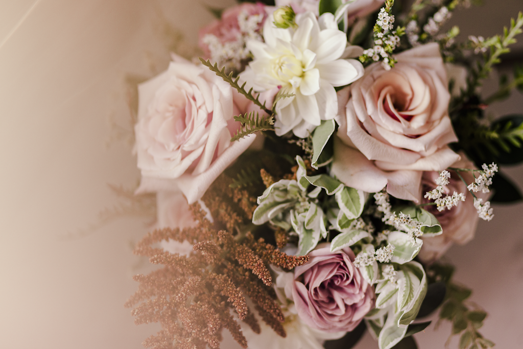 Ali Logan Photography | Bath Rd, Kingston, ON K7M 4Y6, Canada | Phone: (343) 363-2113