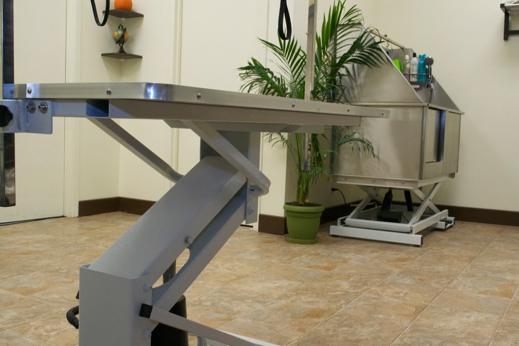 Le Coin Du Chien - Toilettage | 7250 Boulevard Taschereau, Brossard, QC J4W 1M9, Canada | Phone: (450) 486-7200