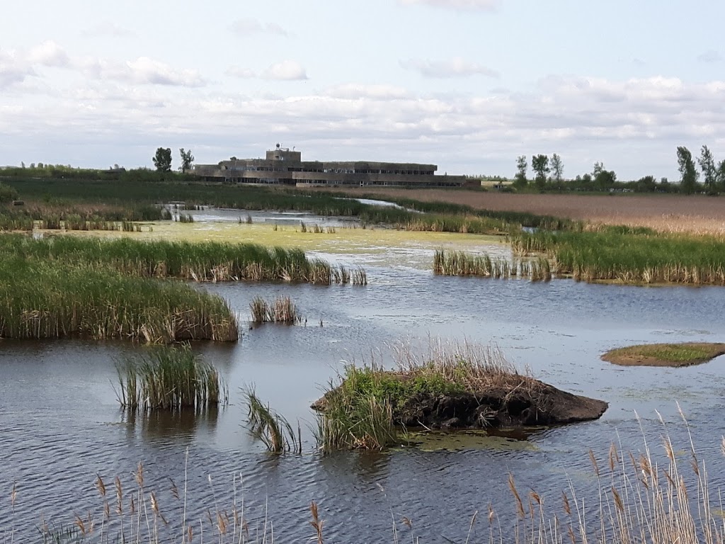 Oak Hammock Marsh Interpretive Centre | 1 Snow Goose Bay, Stonewall, MB R0C 2Z0, Canada | Phone: (204) 467-3300