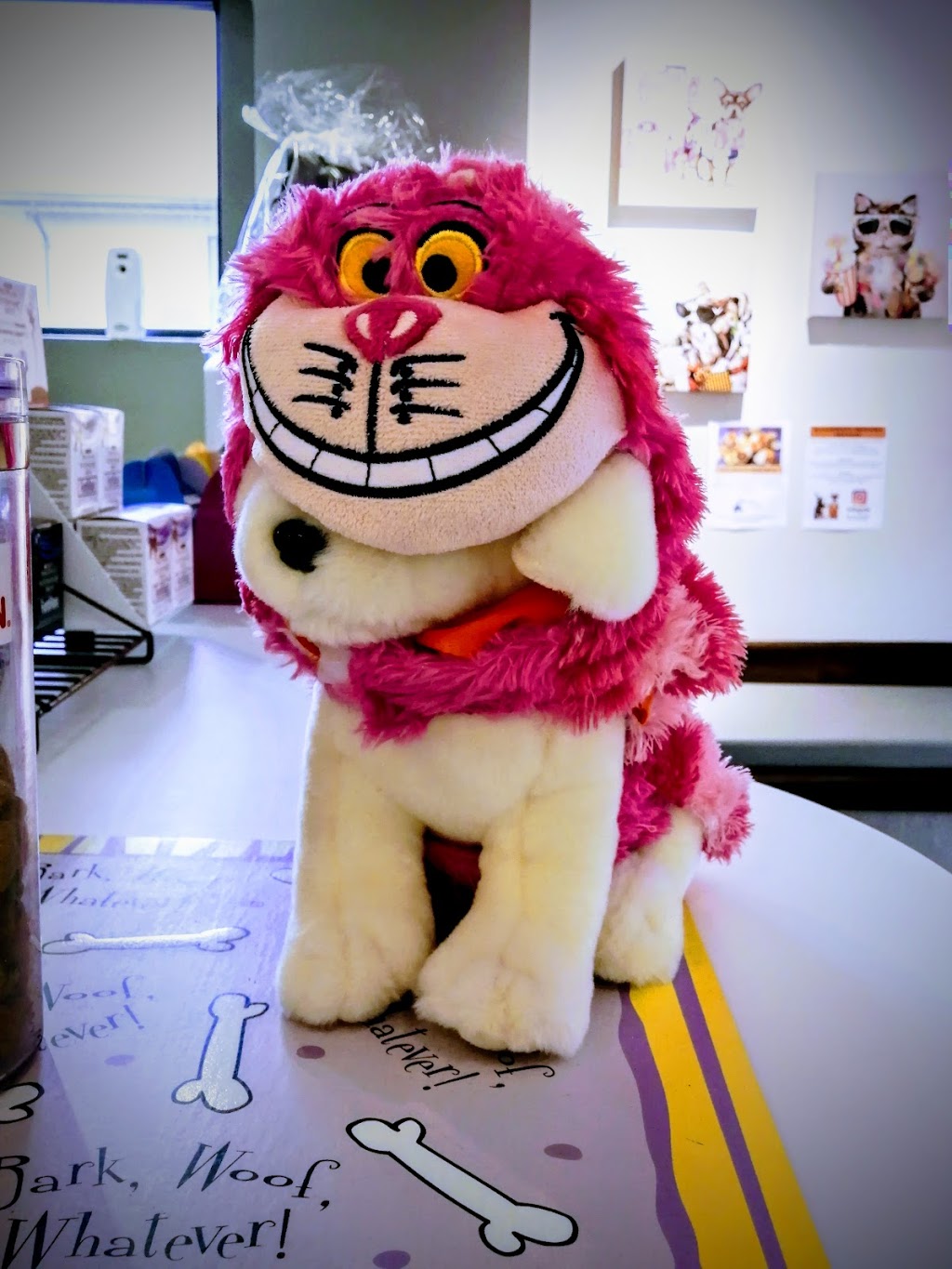 Bayview Village Veterinary Clinic | 324 Sheppard Ave E, North York, ON M2N 3B4, Canada | Phone: (416) 223-8080