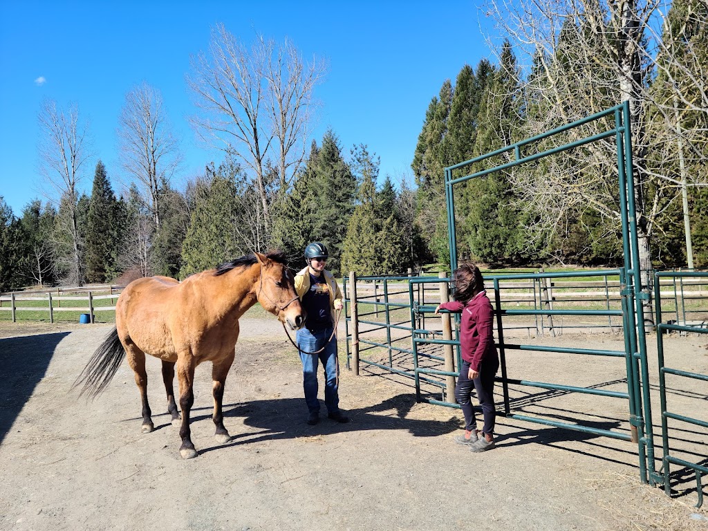Discovery Equine at Cheam Stables | 9345 Ford Rd, Rosedale, BC V0X 1X2, Canada | Phone: (604) 316-0803
