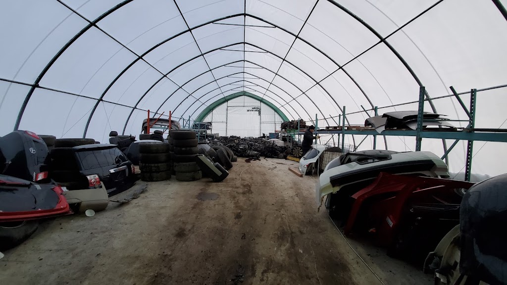Roshan Impact | 91 Cowanville Rd, Newcastle, ON L1B 0N4, Canada | Phone: (905) 987-4636