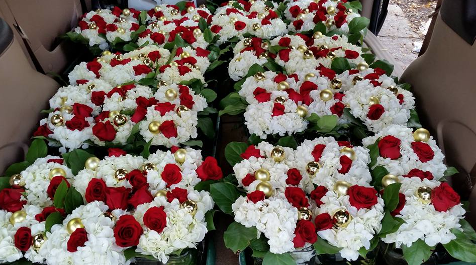 Westdale Florists | 1041 King St W, Hamilton, ON L8S 1L6, Canada | Phone: (905) 527-4127