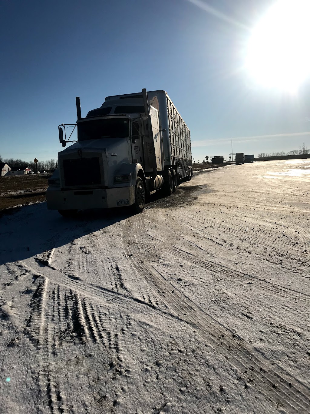 Steves Livestock Transport | 214 Center Ave, Blumenort, MB R0A 0C0, Canada | Phone: (204) 326-6380
