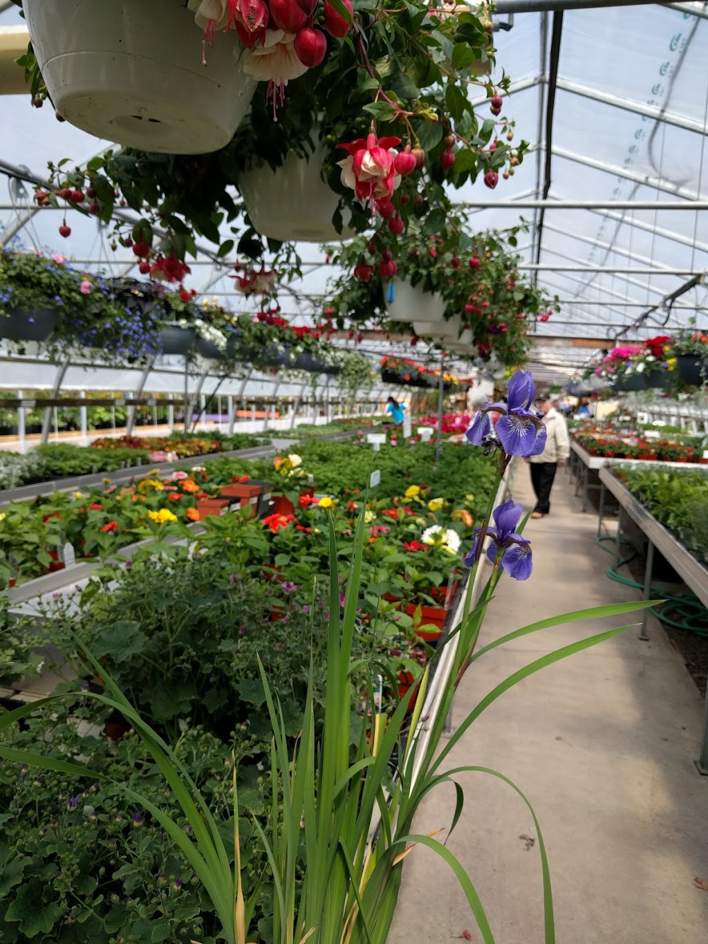 Lowland Gardens | 8844 Nova Scotia Trunk 2, Great Village, NS B0M 1L0, Canada | Phone: (902) 668-2309
