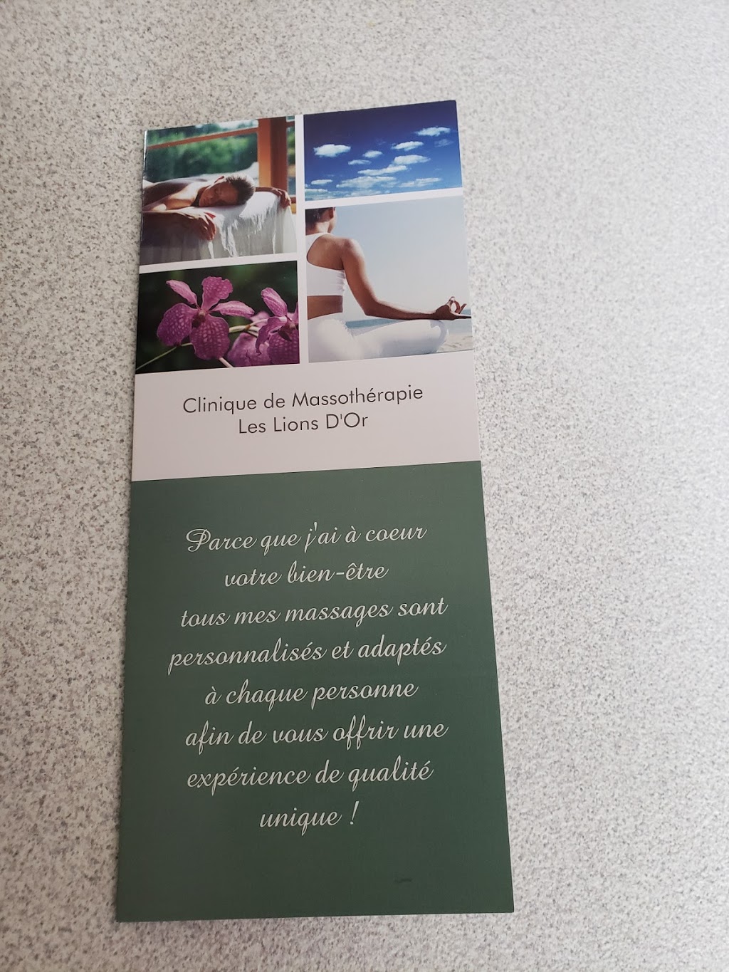 Clinique de Massothérapie Les Lions dOr | 310 Avenue Ringuette, Saint-Étienne-des-Grès, QC G0X 2P0, Canada | Phone: (819) 535-4124