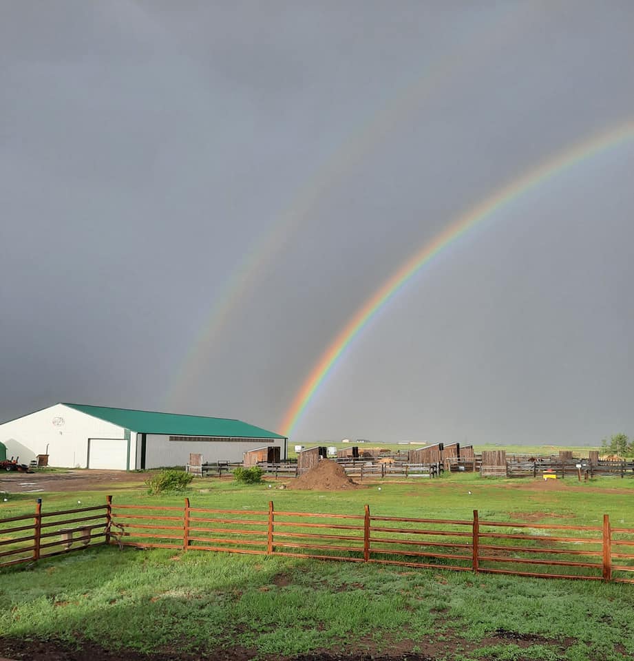 Mane Stage Stables | 232045 Range Road 250 Intersection of Township Rd 232 and, Range Rd 250, Carseland, AB T1P 0N6, Canada | Phone: (403) 689-2048