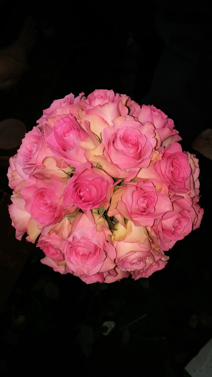 Cite Des Roses | 9815 Chemin de Chambly, Saint-Hubert, QC J3Y 5K2, Canada | Phone: (450) 656-8595