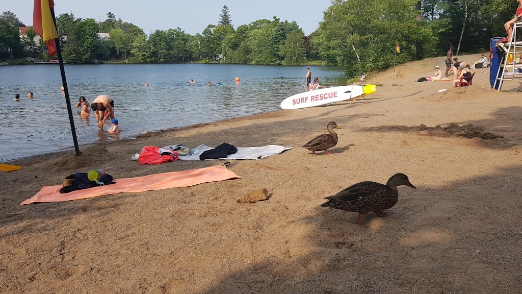 Chocolate Lake Recreation Centre | 14 Purcells Cove Rd, Halifax, NS B3N 1R21, Canada | Phone: (902) 490-4607