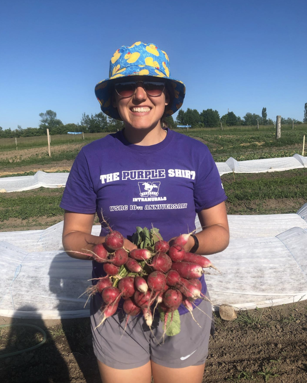 Franklins Produce | 1462 N Line, Kincardine, ON N2Z 2X4, Canada | Phone: (519) 708-0598
