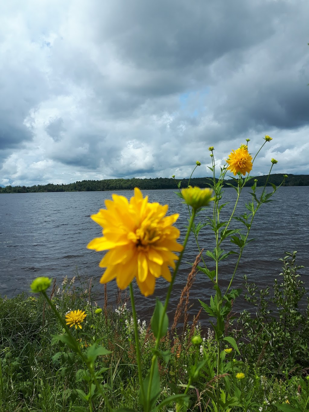 Tom Thomson Park | Ottawa Ave, South River, ON P0A 1X0, Canada | Phone: (705) 386-2573