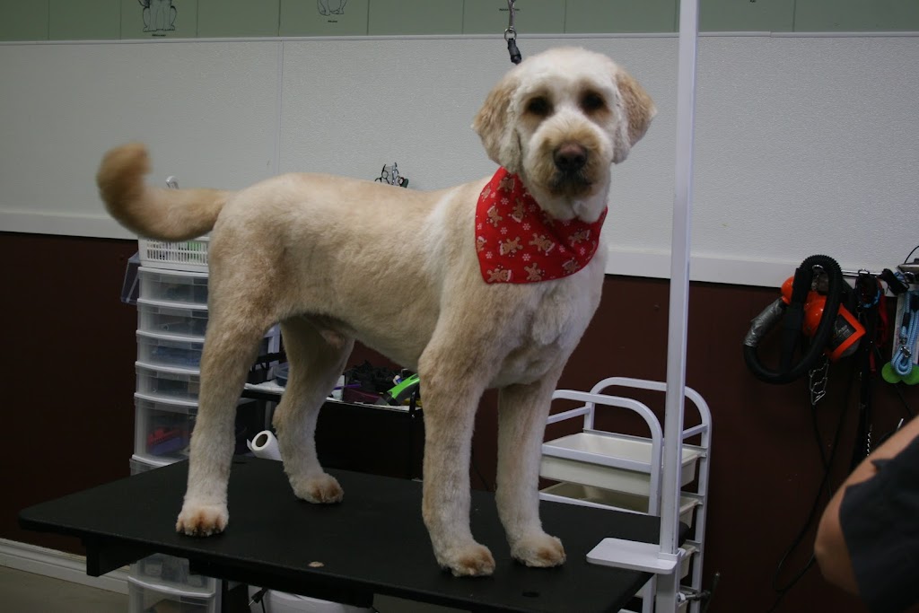 Doggie Delight | 3631 Dixie Rd #20, Mississauga, ON L4Y 4H2, Canada | Phone: (905) 282-9565