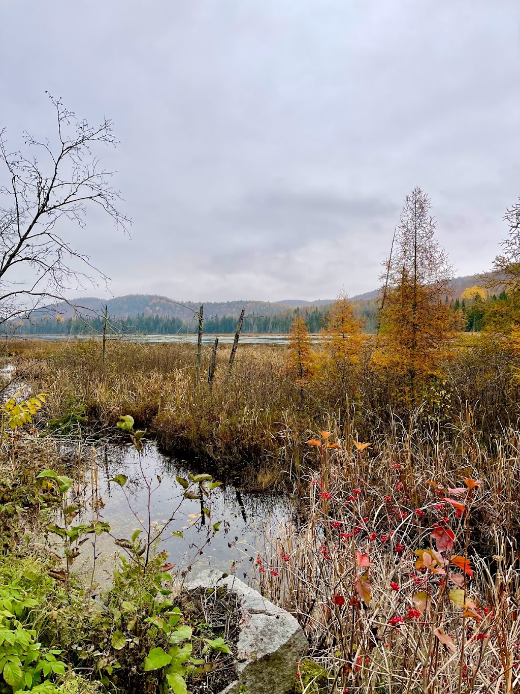 Chalet Héritage Nature | 4300 Rue De lHéritage, Sainte-Adèle, QC J8B 2H9, Canada | Phone: (888) 456-8745