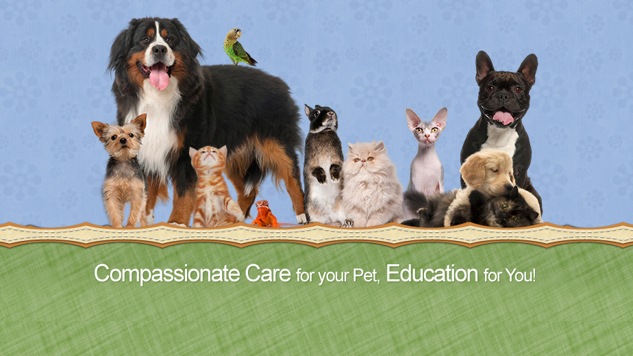 Animal Hospital Of River Oaks | 161 Old Upper Middle Rd, Oakville, ON L6H 1M2, Canada | Phone: (905) 338-6257